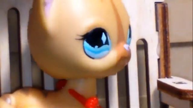 Lps: MV ты не такой\в честь 167 подписчиков/