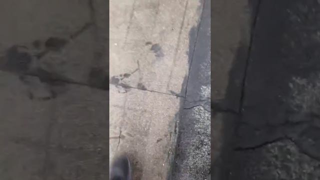 Мягкая наплавляемая кровля , осмотр и выявление мест протечки. смотреть онлайн