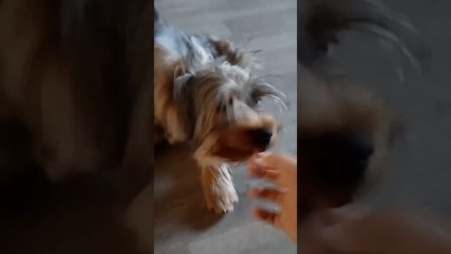 Последнее видео на канале смотреть онлайн