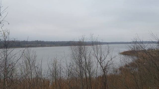 Каспля 4.11.2019 смотреть онлайн