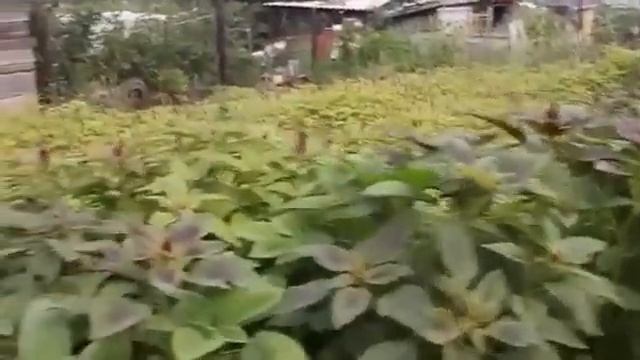 Стройка Глазами Архитектора