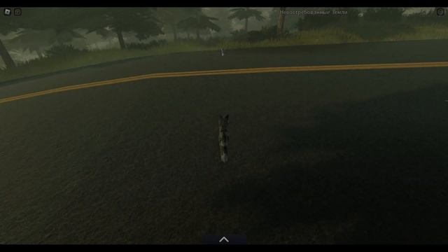 Жизнь котов воителей  - WarriorCats ROBLOX