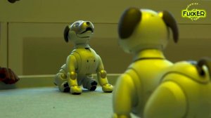 Айбо / Aibo / робот / щенок / милая собачка / sony / интересная игрушка / песик