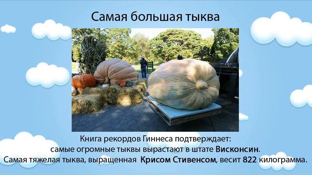 Самая большая собака - Интересные рекорды №4 смотреть онлайн
