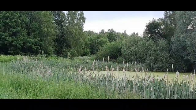 Раннее утро.Незаконченные монологи на фоне природы смотреть онлайн