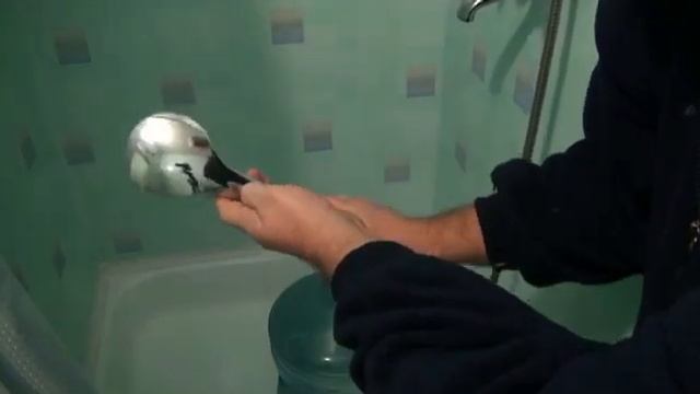 Меняем воду в кулере без нового балона смотреть онлайн