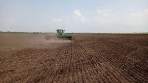 Посев рапса