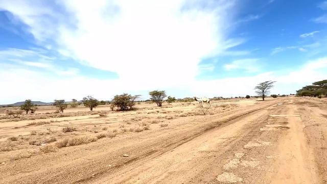 Turkana North Kenya | Uma Telugu Traveller смотреть онлайн