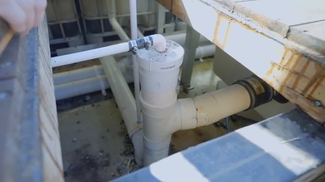 You've Never Seen A Natural Pool Like This...