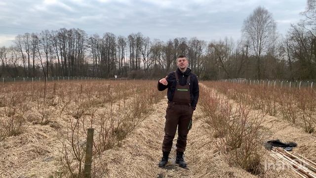 Теперь можно брать землю всем ! смотреть онлайн