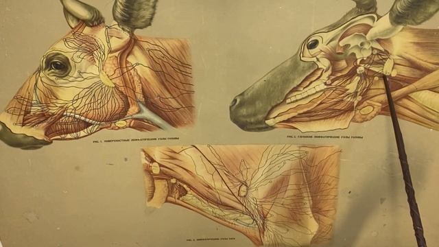 Учебник по Творческой Силе