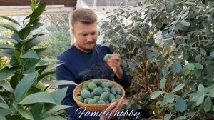 ?Family hobby  канал о жизни и создании ПРЕКРАСНОГО САДА .Посмотри и ПОДПИШИСЬ?