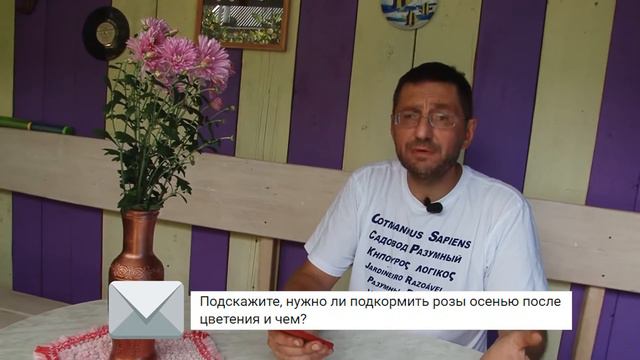 Осенняя подкормка роз смотреть онлайн