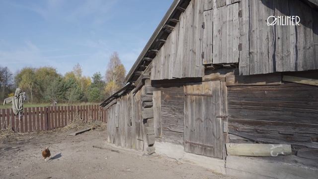 МОВА: як гаворыць краiна (5 - Заходняе Палессе) смотреть онлайн