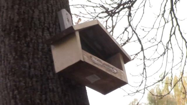 Скворечники на 5 звезд. смотреть онлайн