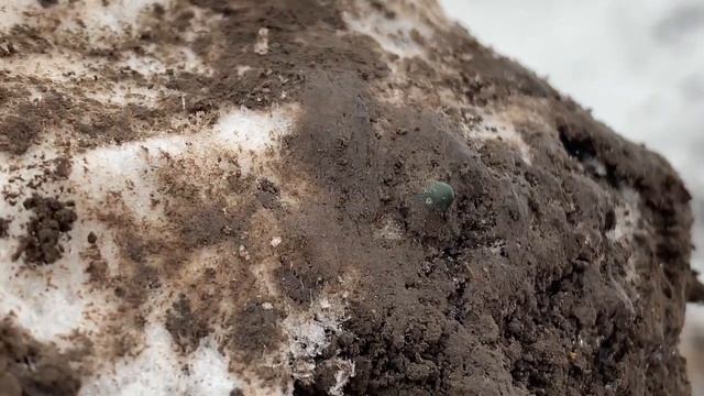 Winter metal detecting with Garrett Apex. Unexpected find смотреть онлайн
