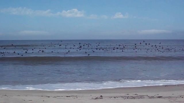 Намибия, Берег Скелетов, 2012 год смотреть онлайн