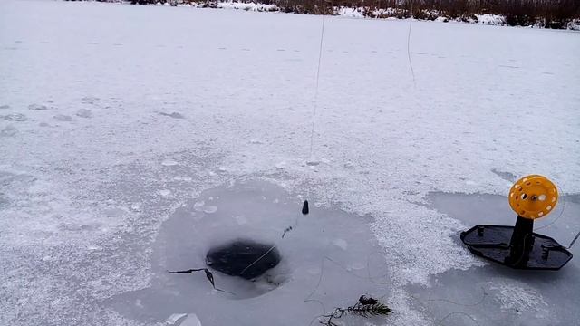 Рыбалка на жерлици, оставил в ночь. смотреть онлайн