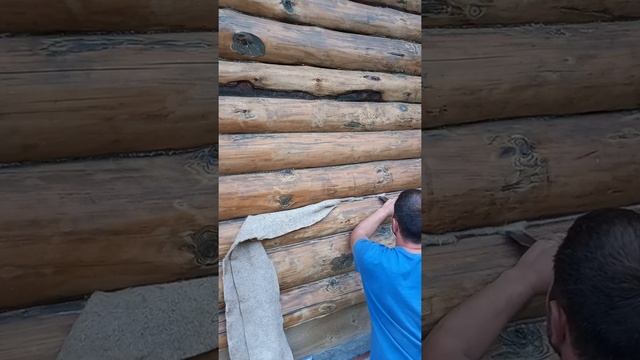 конопатка сруба рубленого в лапу