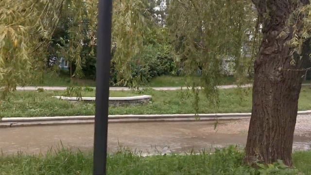 Самый красивый парк.Это МОЁ мнение. 🌿🦆 смотреть онлайн