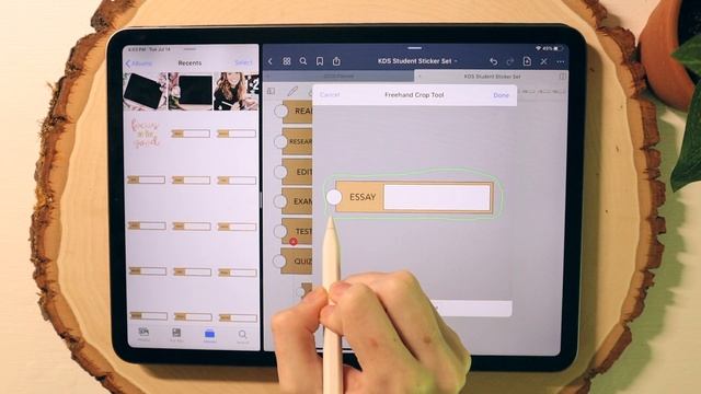 Precropped Digital Sticker Sheets in GoodNotes смотреть онлайн