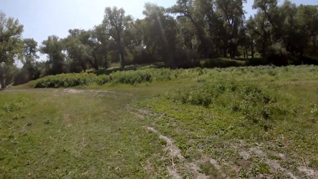 ЭКСТРЕННОЕ СОБРАНИЕ ЖИЛЬЦОВ ДОМА! РЕЦЕПТ СОЧНЫХ БУРГЕРОВ. ЛАЙФХАК! КАК ВЫБРАТЬ СПЕЛЫЙ АРБУЗ? ЦАО. смотреть онлайн