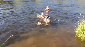 Девочки купаются. Июль 2015