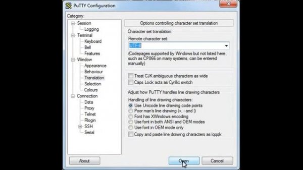 Установка UTF8 в putty