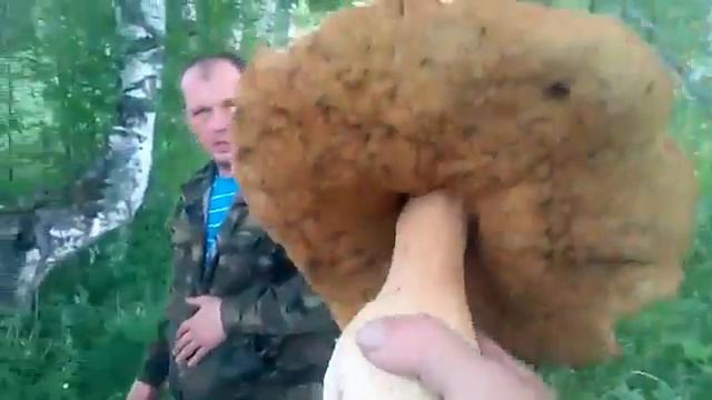Нашли огромный гриб смотреть онлайн