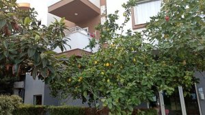 Турция 2022 г. ROYAL GARDEN beach hotel 5* Обзор территории