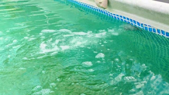 Песчаный фильтр INTEX замена песка на синтепон смотреть онлайн