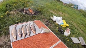 Сырть. Рыбалка и копчение на реке Луга.