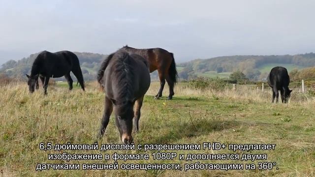 В России появился POCO M3 Pro: новый потенциальный хит Xiaomi. Как купить дешевле