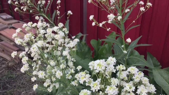 Ремонт на Дому