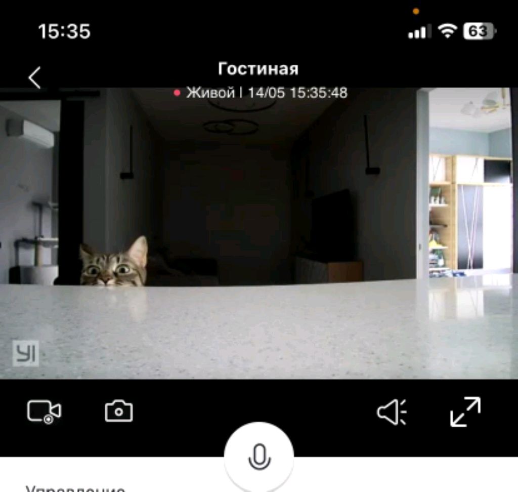Отвечаю на все вопросы смотреть онлайн