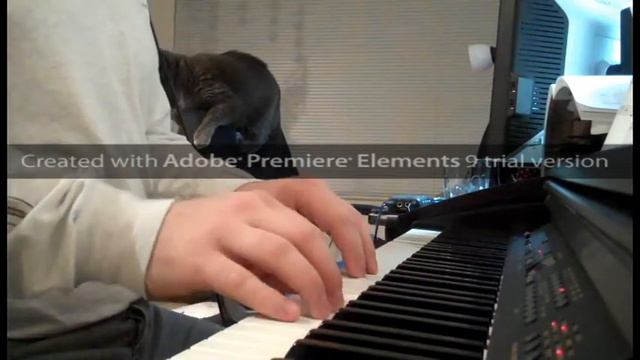 Bach Minuet in G - After only 2 months playing! смотреть онлайн