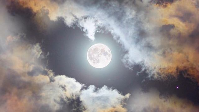 «Самый лучший на свете враг ...» - Сергей Корчак (автор Владимир Ток) смотреть онлайн