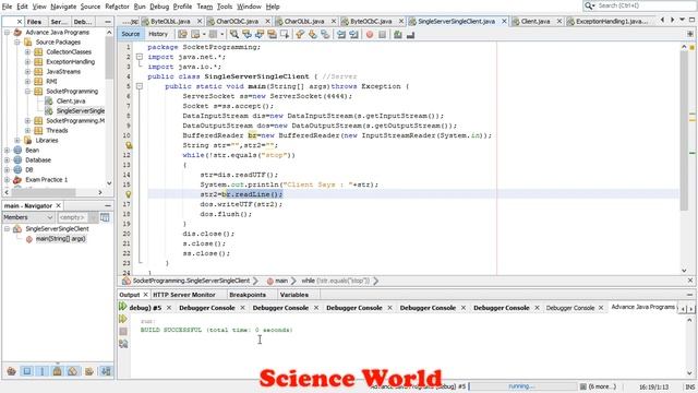 Socket Programming Single Server Single Client Program | In Java Tutorial смотреть онлайн
