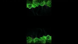 Вор в загоне Ибрагим -Цыган #цыгане #пранк #мошенникивинтернете #разводилы #мошенникиденьги