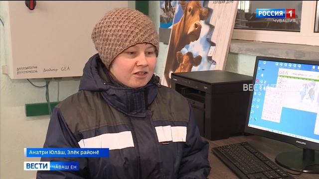 Элӗк районӗнче республикӑри пӗрремӗш автоматизациленӗ ферма хута кайрӗ смотреть онлайн