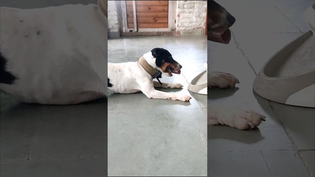 freeshaping helps build problem solving skills смотреть онлайн