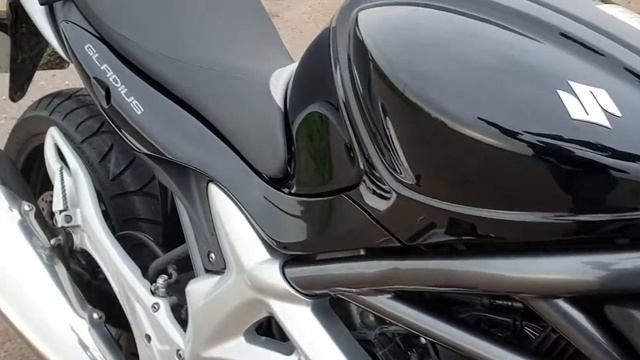 Suzuki 650 SVF Gladius available at stevelin motorcycles ramsey Cambridgeshire смотреть онлайн