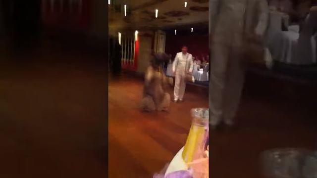 Медведь на свадьбе Bear In Russian Wedding