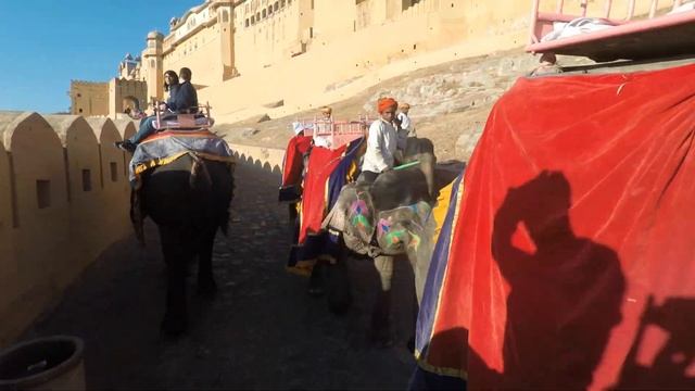 Поднимаемся на слонах в форт Амбер в Джайпуре смотреть онлайн