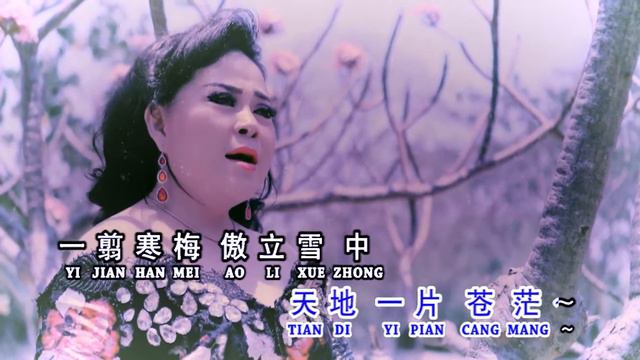 Yi Jian Mei / Ai Jiang Shan Geng Ai Mei Ren ( 一剪梅 / 爱江山更爱美人) Cover By Wang Ie Ling 王玉莲 14