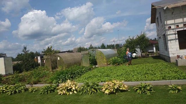 Жизнь идёт по кругу или грушевый рай 2021 смотреть онлайн