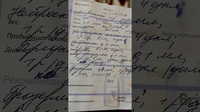 Атония мочевого пузыря у кота после травмы смотреть онлайн