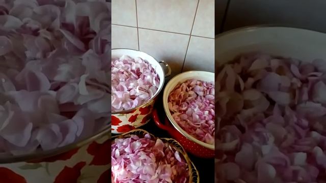 Розовая вода, розовое варенье без сахара, ароматное варенье из лепестков чайных роз!!!! смотреть онлайн