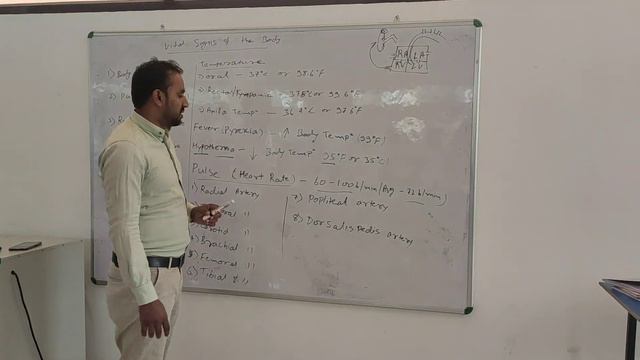 vital sign of your/our body Temperature and pulse -part 1 смотреть онлайн