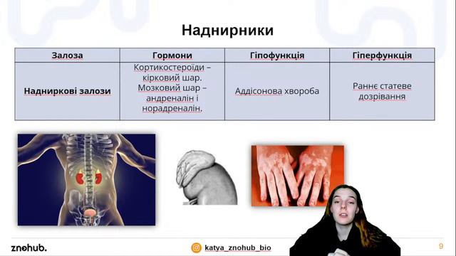 Усі гормони для НМТ з біології смотреть онлайн